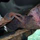 Image for article titled Here's What's Wrong With My $500 Low-Mileage Jeep Cherokee